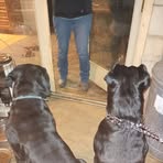 Landon Daugherty - Facebook