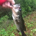 Clayton Dunn - @clayton.dunn.73550 - Instagram