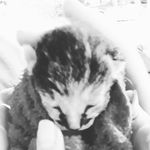 clayton dennis - @dennisclayton42 - Instagram