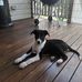 Layton Ennis - Facebook