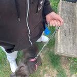 Layton Fox - @bobthe7168 - Instagram