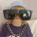 LF💯 - @_layton_fox_ - Instagram