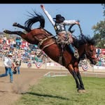 Layton Green - @layton_green - Instagram