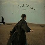 Frank - @laytonhansen510 - Instagram