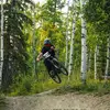 𝐻𝒶𝓇𝓇𝒾𝓈𝑜𝓃🌲 - @harrisonlayton4 - TikTok