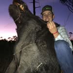 Layton Harrison - @layton_harrison3 - Instagram