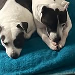 Layton Harrison - Facebook