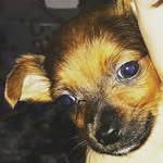 Layton Harrison - @layton.harrison.180 - Instagram
