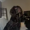 Layton Hendrix - @layton.hendrix33 - TikTok