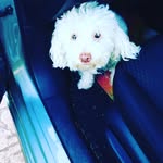 Layton Hicks - @unicorns_rainbows3 - Instagram