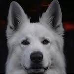 Layton Hunt - @_layton_hunt_ - Instagram