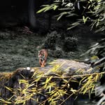 Layton Hunt - @layton9hunt2157 - Instagram