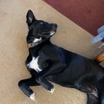 Layton Jackson - @layton_jackson18 - Instagram