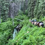 Clayton Jensen - @claytonjensen - Instagram