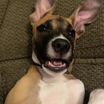 Landon Johns - Facebook