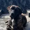 Layton Lambert - @layton.lambert2 - TikTok