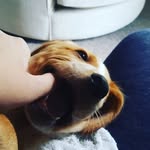 Layton Le-Mar - @laytonlemar - Instagram