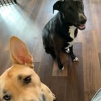 Layton Mack - Facebook