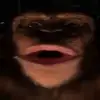Layton Mann - @layton.mann86 - TikTok