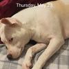 Layten_mcCarthy - @layten_mccarthy - TikTok
