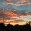laytonmorrison167 - @laytonmorrison167 - TikTok