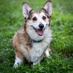 Clayton Pearson - @pearson.clayton - Instagram