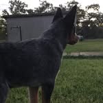 Clayton Pearson - @clayton_pearson01 - Instagram
