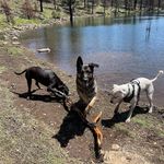 Clayton Petersen - @claytonpetersen731 - Instagram