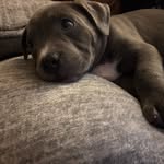 Layton Powell - @laytonjopowell - Instagram