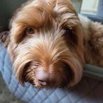 Layton Richards - Facebook