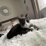 Layton Ross - Facebook