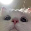 ClaytonSchultz - @i52ncqkln2i - TikTok