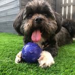 Layton Scott - Facebook