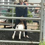 Layton Scott - @layton017 - Instagram