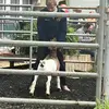 layton scott - @lscott0921 - TikTok