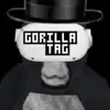 Layton Steele - @lsvr69 - TikTok