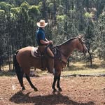 Layton Steele - @laytonsteele - Instagram