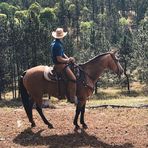 Layton Steele - Facebook