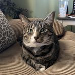 Layton Sutton - Facebook