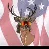 laytonwalker169 - @laytonwalker169 - TikTok