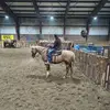 Layton Ward - @layton.ward20 - TikTok