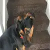 Layton Ward - @layton.ward - TikTok