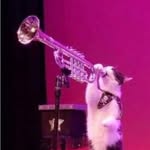 Layton Watts - @layton_pennythecat161 - Instagram