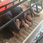 Layton Weaver - @laytonweaver12 - Instagram