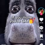 𝙻𝚊𝚢𝚝𝚘𝚗 𝚆𝚑𝚒𝚝𝚎 - @layton_white2 - Instagram