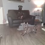 Layton Wilkinson - @layton.wilkinson - Instagram