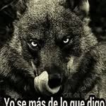 Lázaro Armas Aparicio - @lazaroarmasaparicio - Instagram