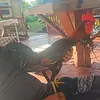 Lazaro linia los cabrera - @lazaro.cabrera - TikTok