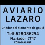 Lazaro Cortes - @aviariolazaro - Instagram