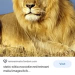 Lazro Llerandi - @llerandilazaro - Instagram